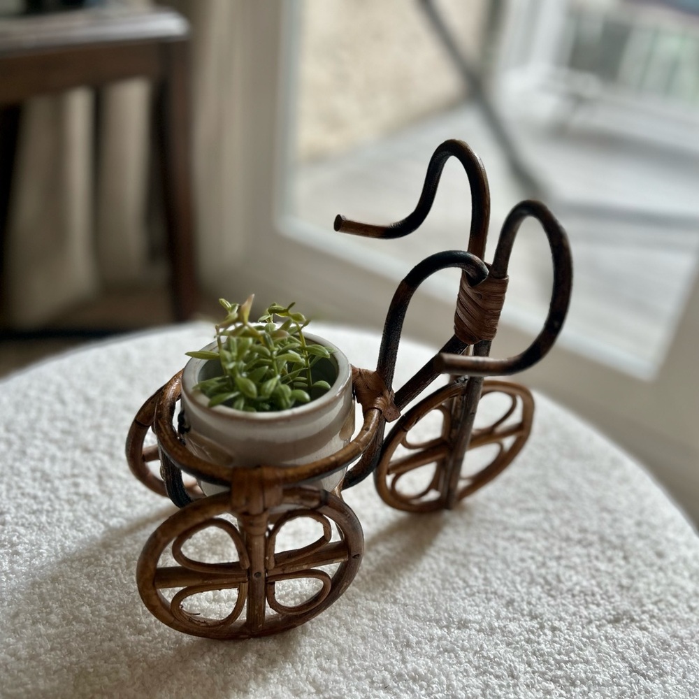 Wicker Bicycle Plant Holder